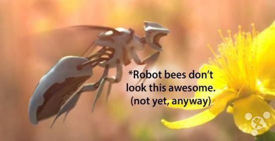 新品前瞻：机器人蜜蜂、自主服务机器人