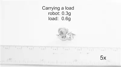 【新品】可溶解的微型折“纸”机器人诞生