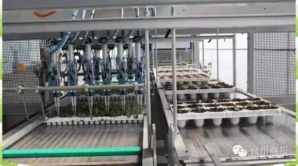 全程自动化无土栽培农场台州诞生了