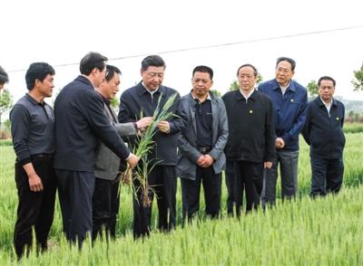 习近平在安徽考察 观看中科大智能机器人