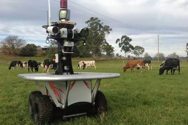 机器人已经成为澳大利亚大型农场的标配
