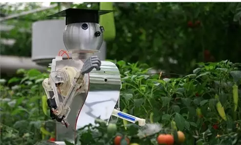农用机器人研发走向一个新阶段