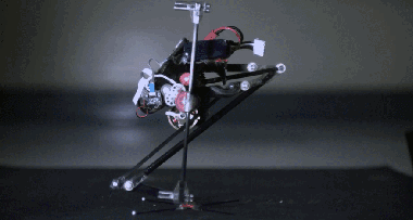中国学者研发机器人会“弹指”和“跳跃”