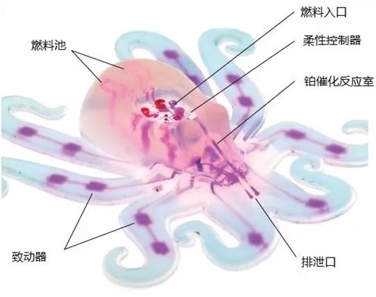 一文读懂柔性机器人，看似“柔若无骨”的背后有哪些黑科技