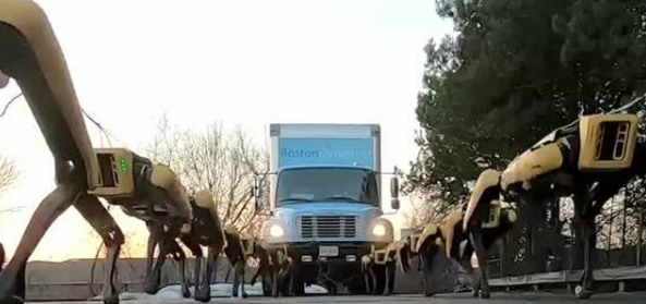 波士顿动力发布最新视频 机器狗纤夫军团拉动大卡车